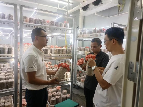 科研活動(dòng)賦能食用農(nóng)產(chǎn)品研發(fā) 驅(qū)動(dòng)農(nóng)業(yè)現(xiàn)代化與健康飲食新變革