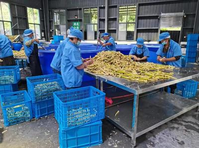 雅安市雨城區(qū) 嚴(yán)守食用林產(chǎn)品安全防線，推動(dòng)食用農(nóng)產(chǎn)品研發(fā)創(chuàng)新