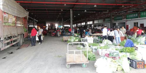 當(dāng)好廣元人民的菜籃子，川陜甘農(nóng)產(chǎn)品交易中心 從集散樞紐到研發(fā)引擎的蝶變