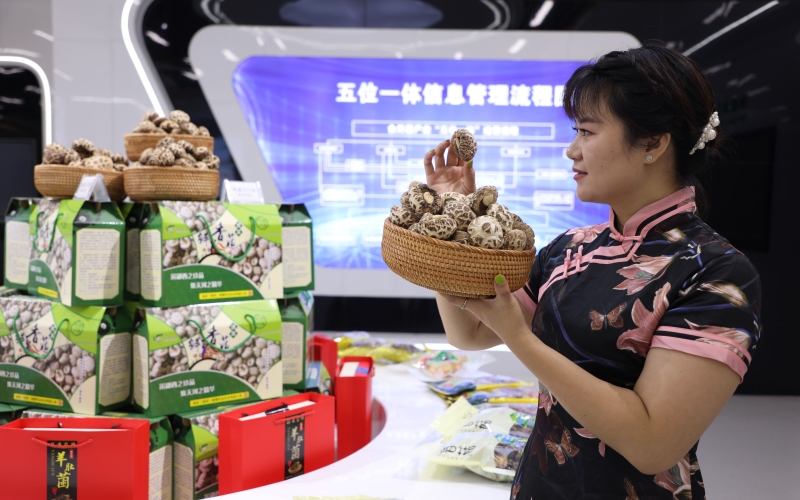 湖北鄖西 五大百億產業集群“頂起”工業經濟，食用農產品研發賦能鄉村振興